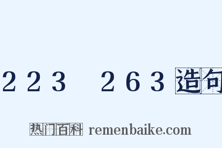 223～263造句是什么意思的图片